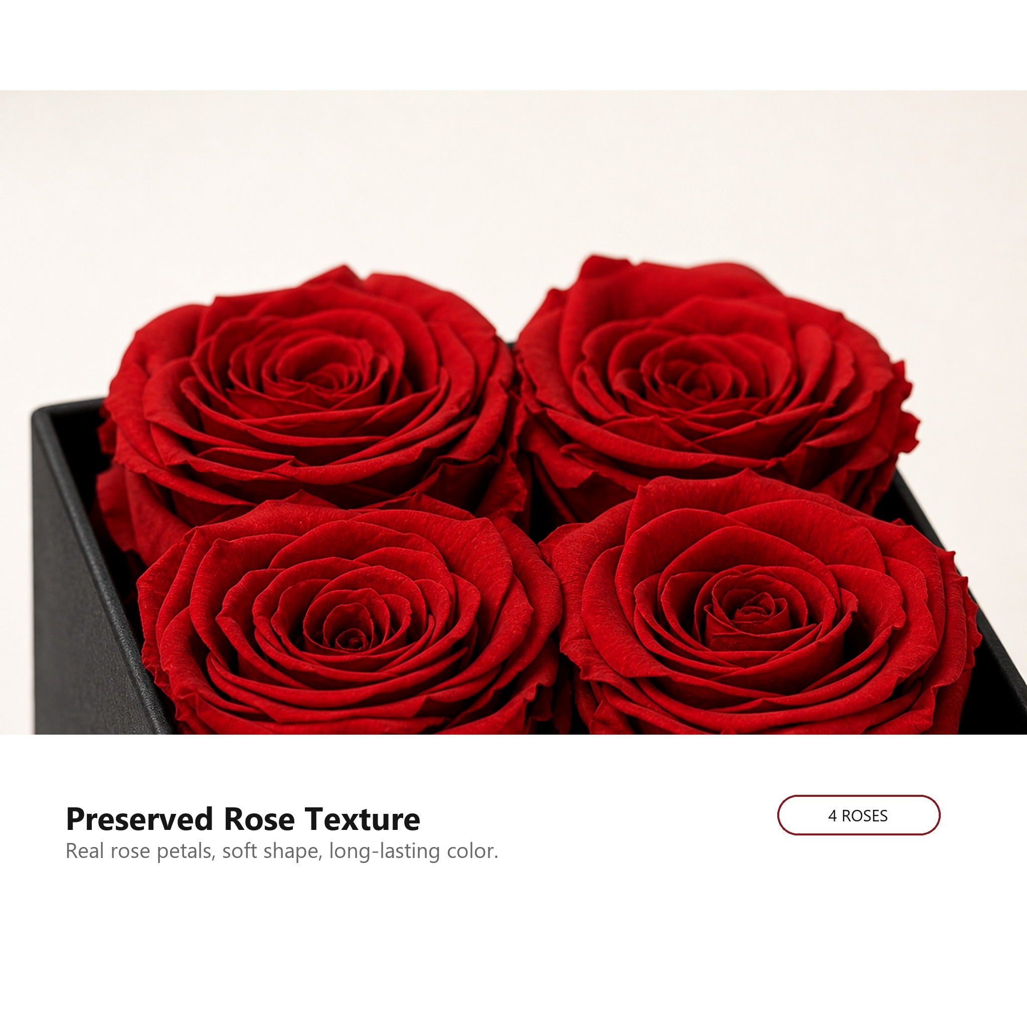 Close-up detail of preserved rose petal texture