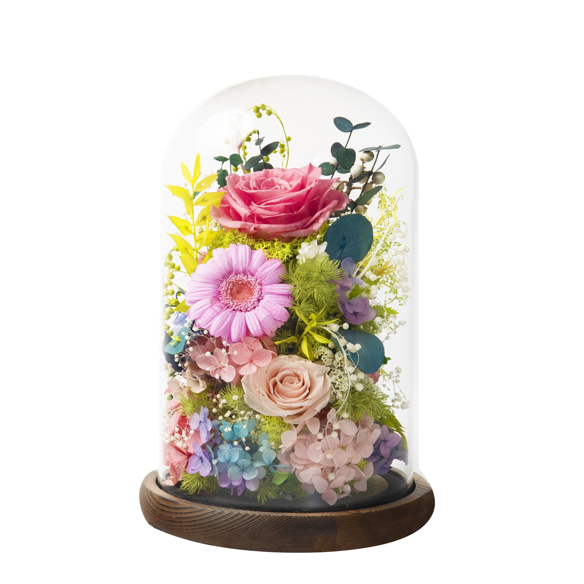 Handmade preserved flower glass dome gift by Florettely