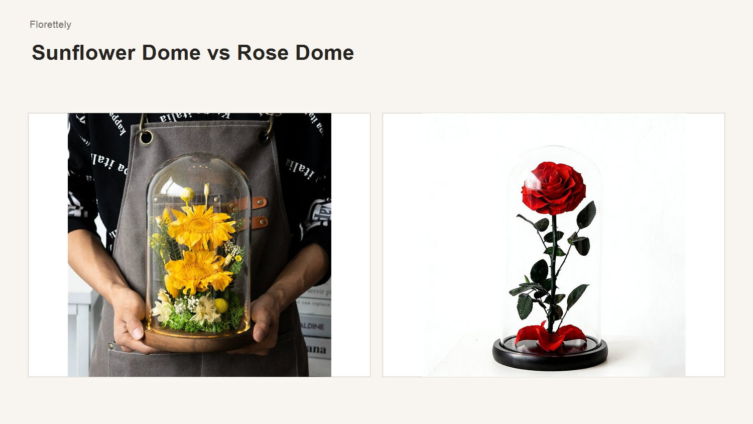 Preserved sunflower dome compared with a preserved rose dome