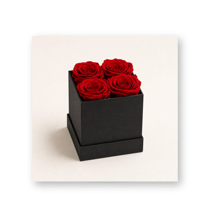Four red preserved roses in a matte black square gift box