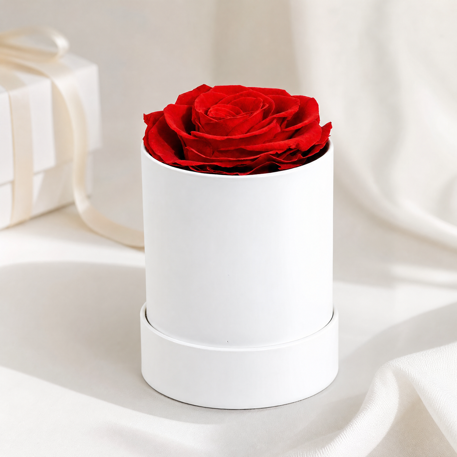 Red preserved rose cylinder gift box lifestyle scene with soft white decor