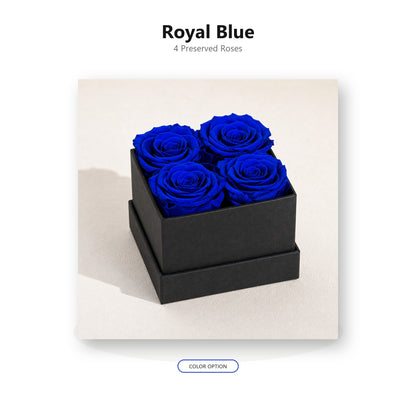 Royal blue four-rose preserved rose gift box color option