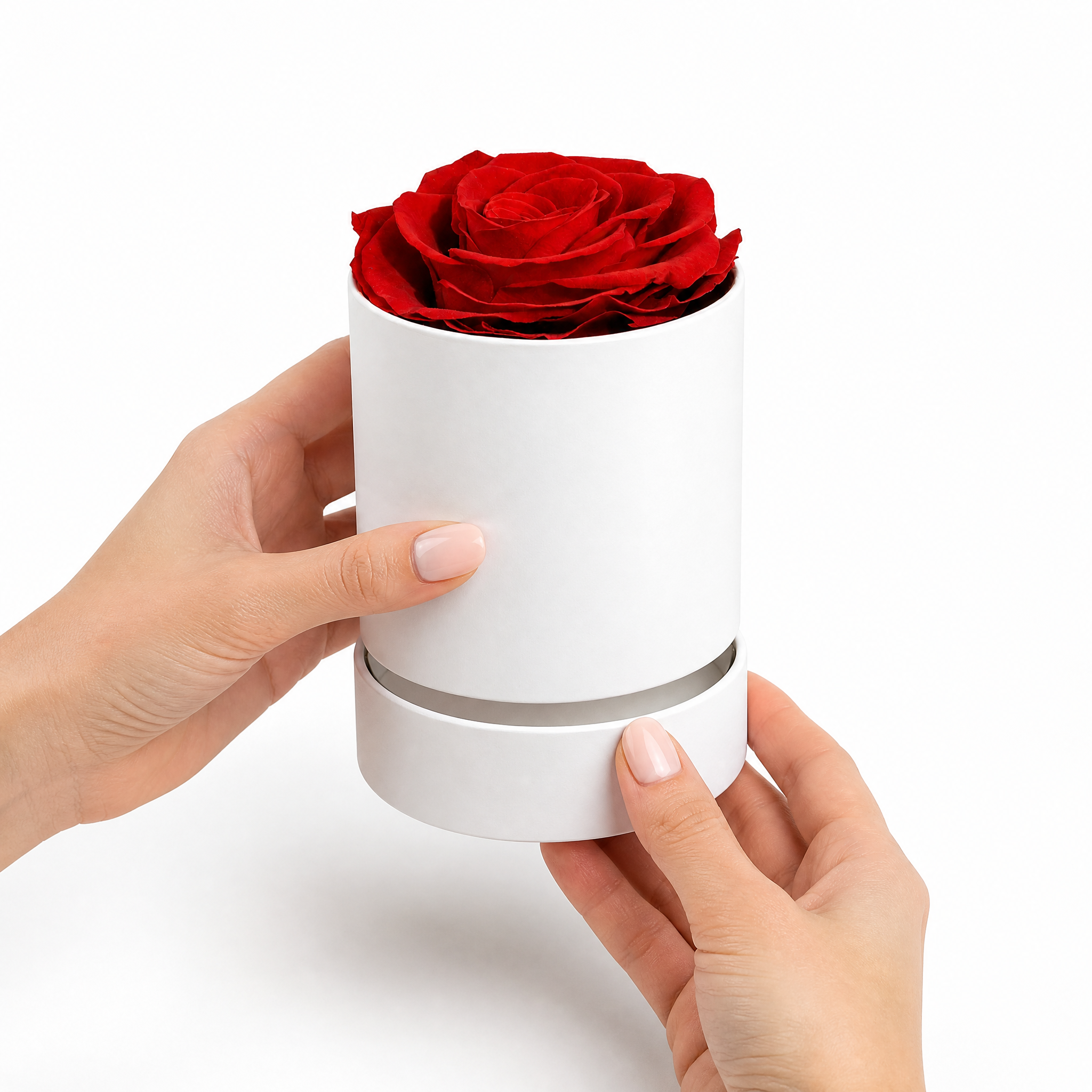 Hands holding white cylinder preserved rose gift box