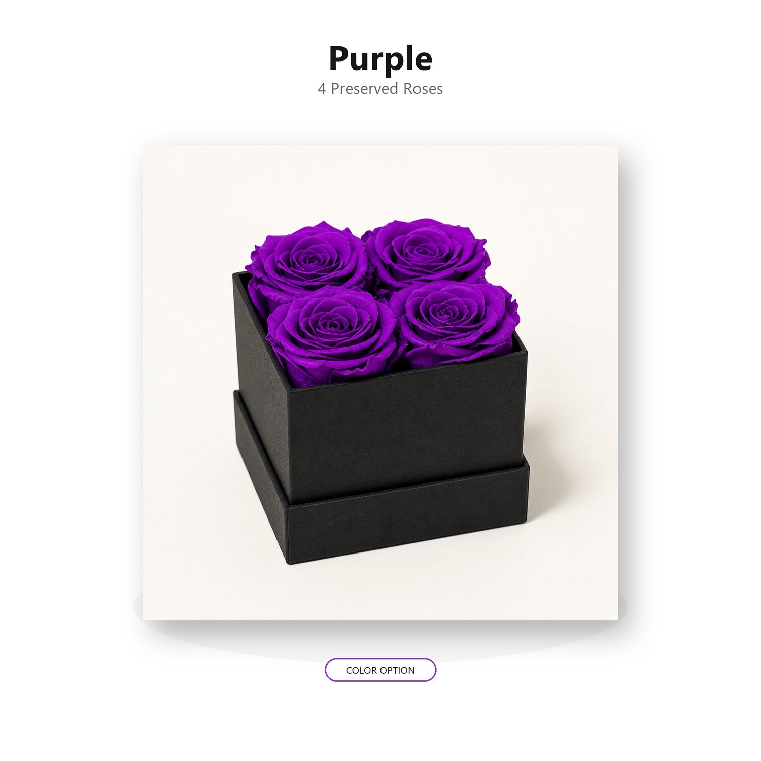 Purple four-rose preserved rose gift box color option