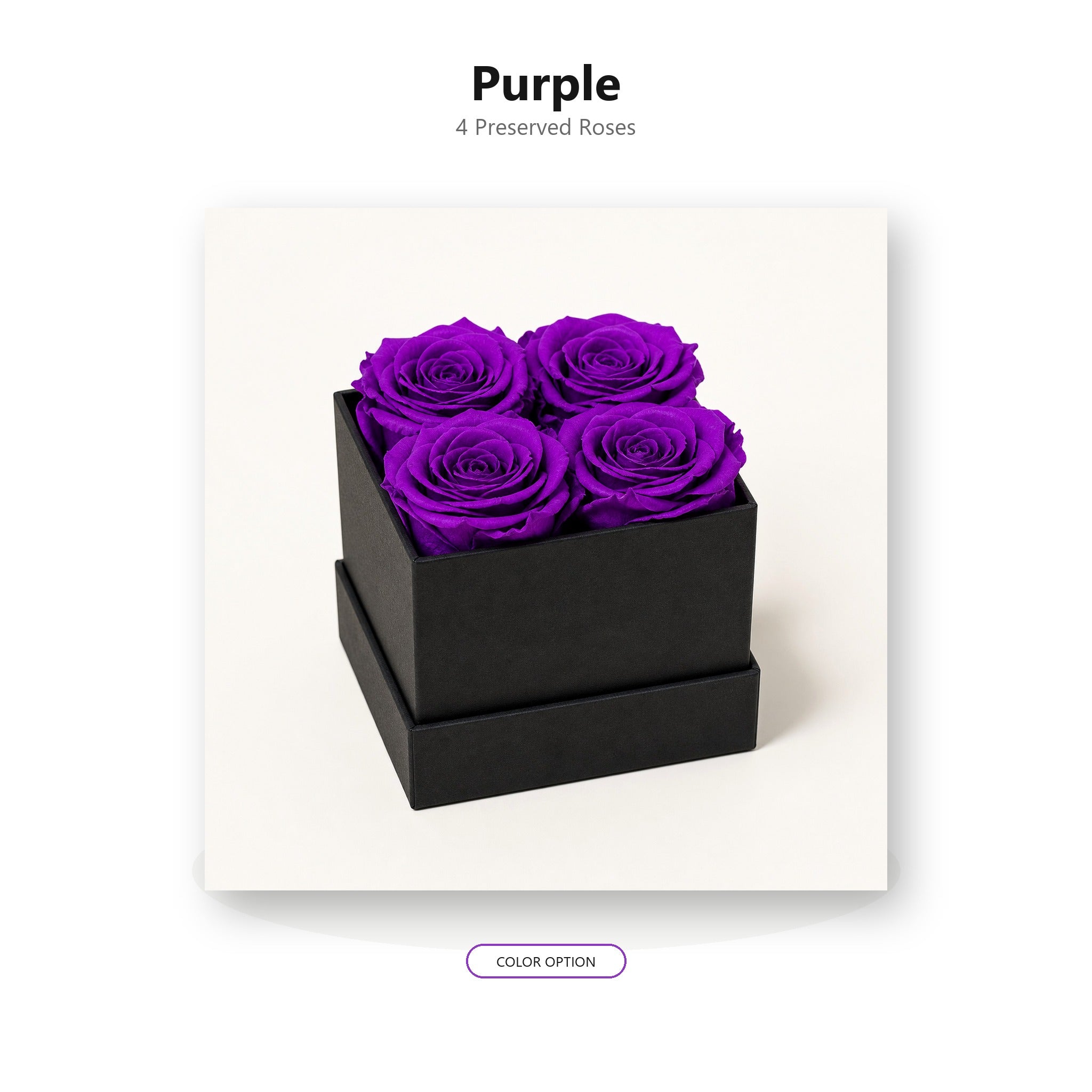 Purple four-rose preserved rose gift box color option