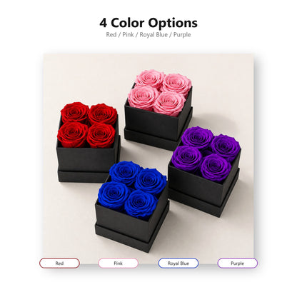 Four color options for preserved rose square gift box