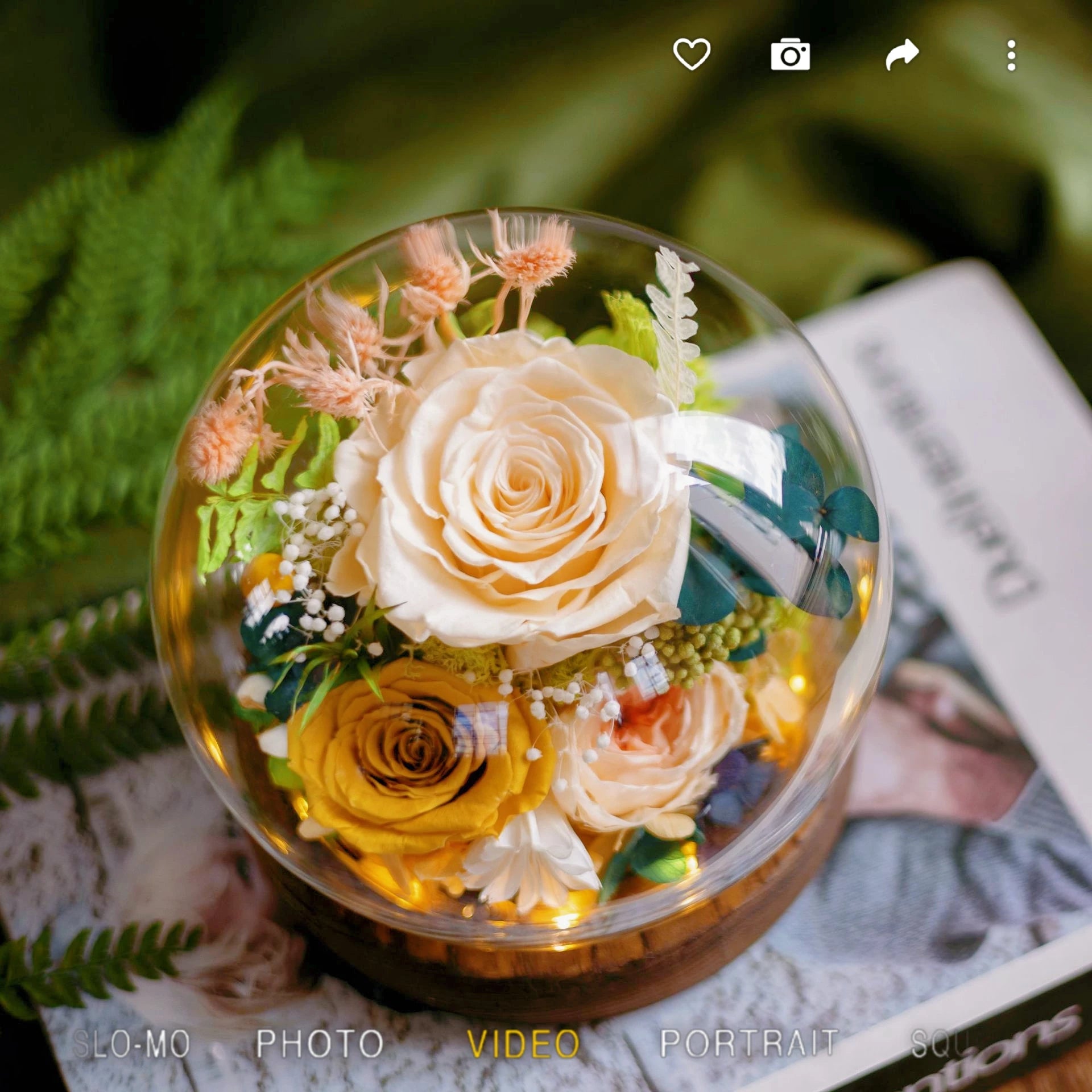 Handmade preserved flower glass dome gift by Florettely