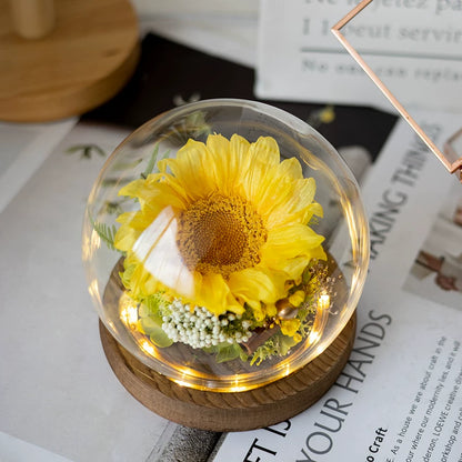Handmade preserved flower sunflower glass dome by Florettely