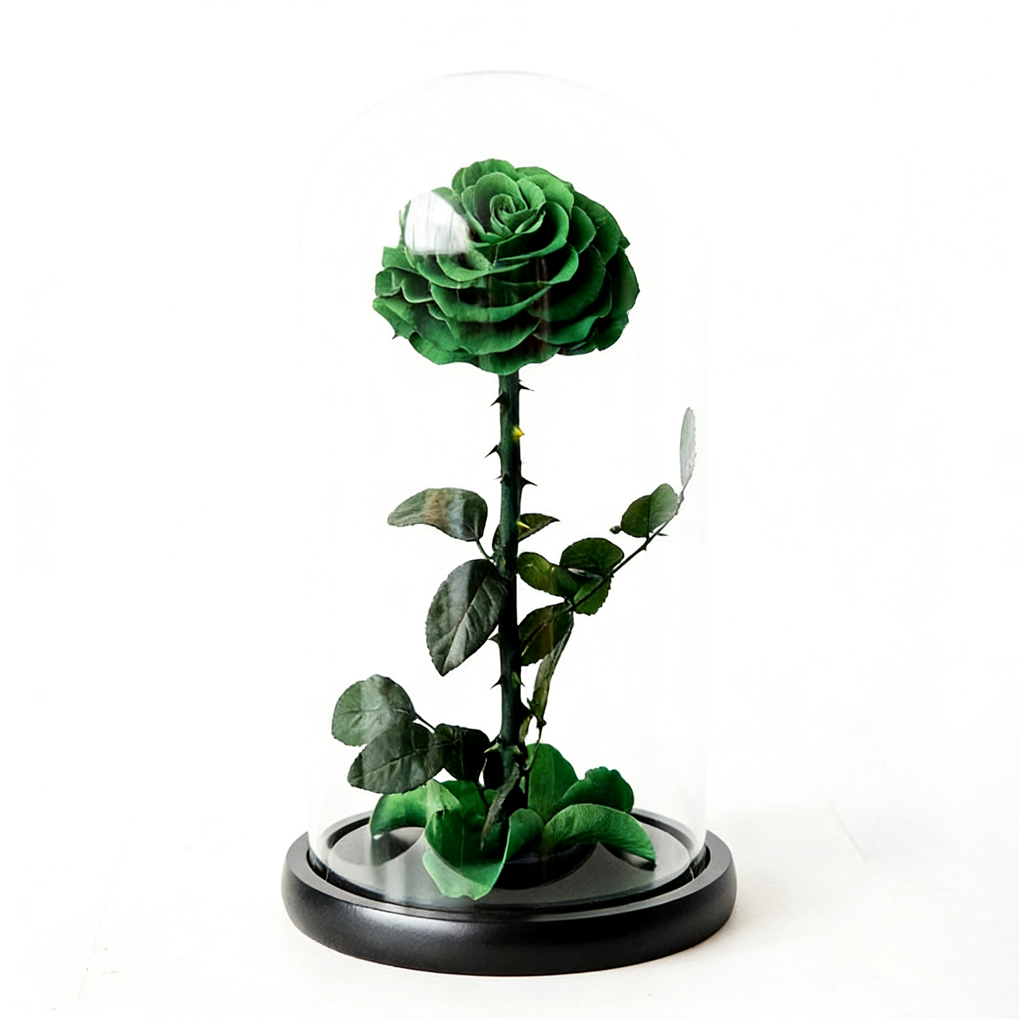 Handmade preserved flower themed glass dome by Florettely