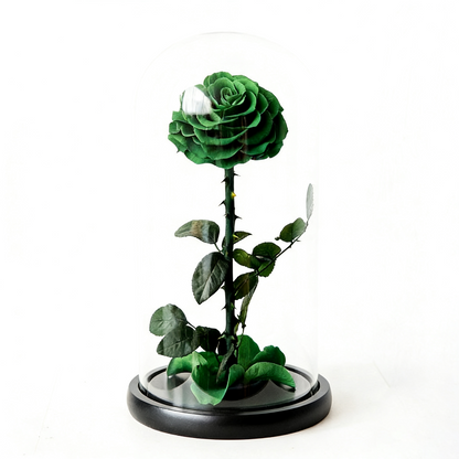 Handmade preserved flower themed glass dome by Florettely