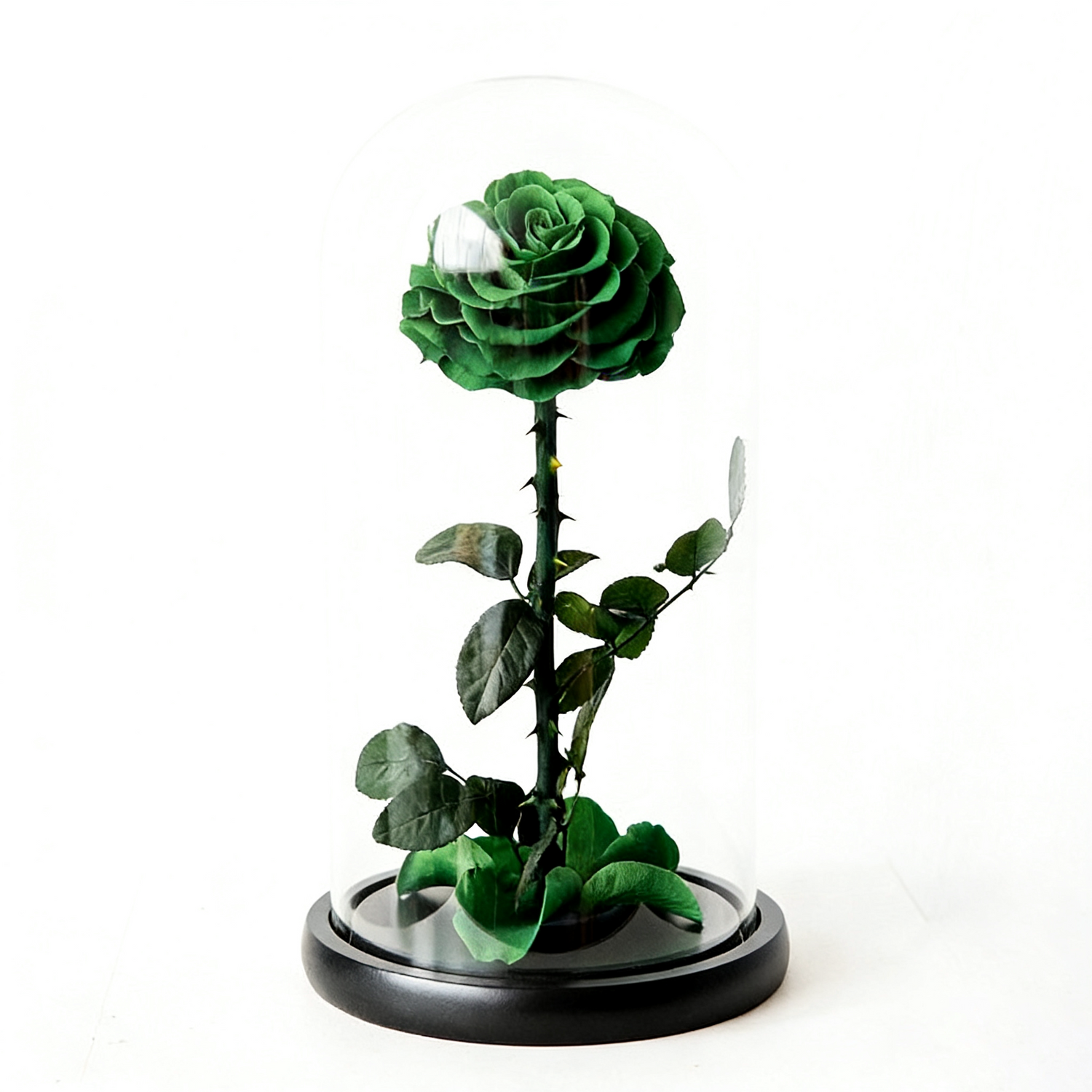 Handmade preserved flower themed glass dome by Florettely