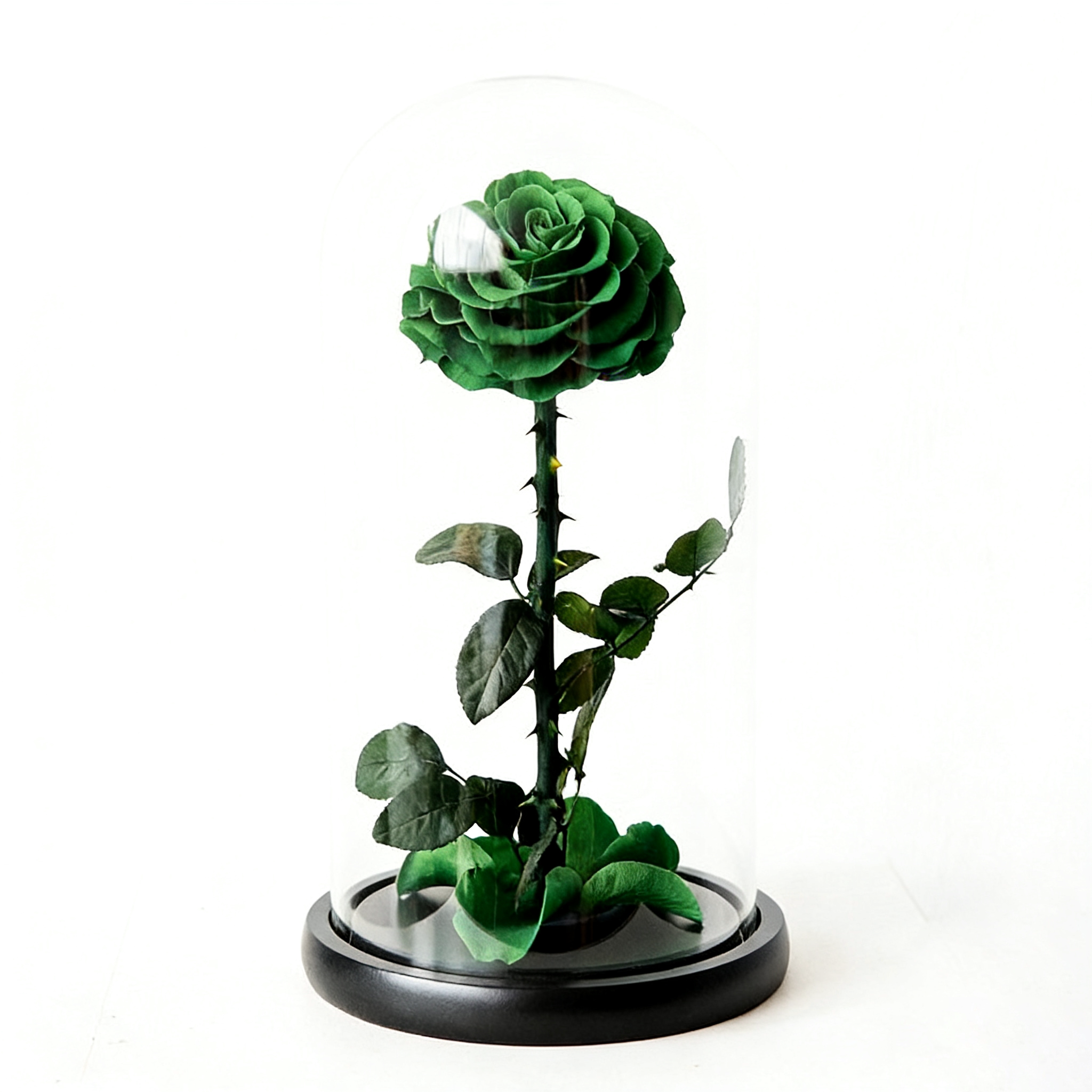 Handmade preserved flower themed glass dome by Florettely