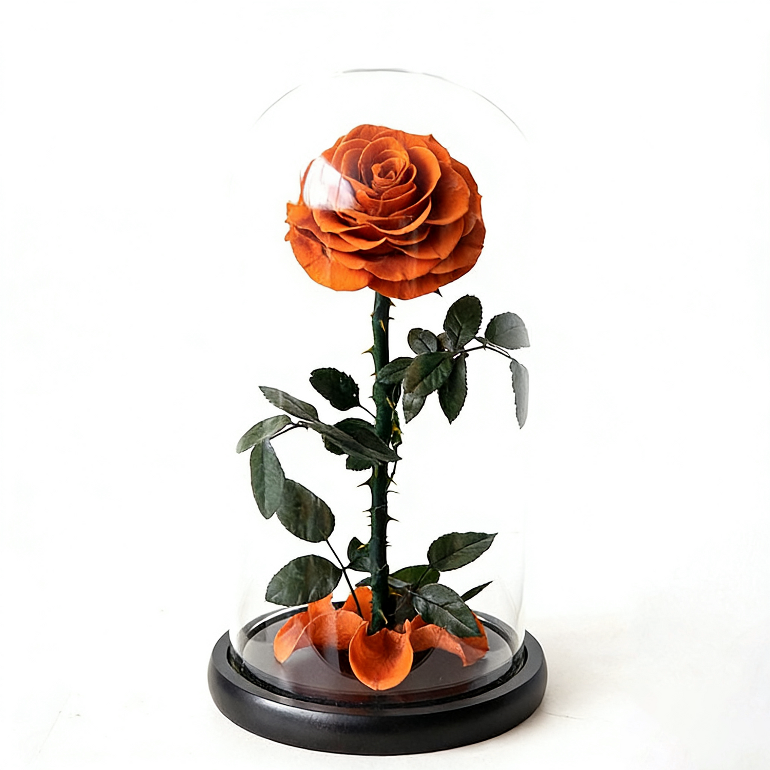 Handmade preserved flower themed glass dome by Florettely