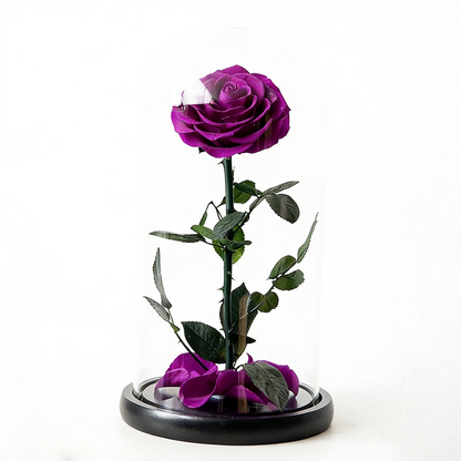Handmade preserved flower themed glass dome by Florettely
