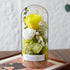 Handmade preserved flower glass dome gift by Florettely