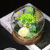 Handmade preserved flower glass dome gift by Florettely