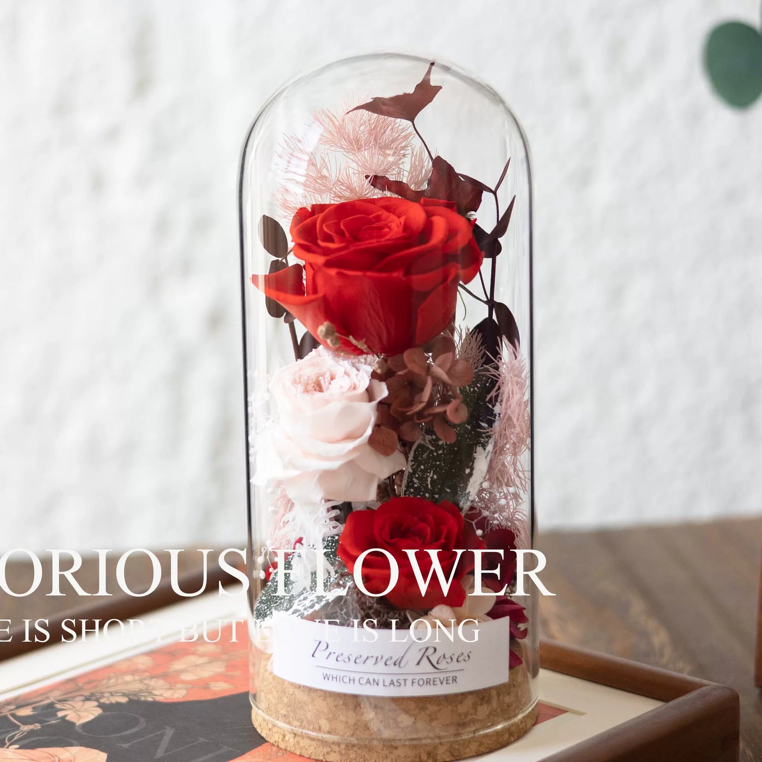 Handmade preserved flower glass dome gift by Florettely