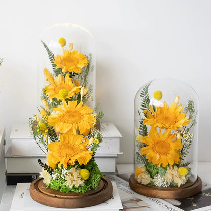 Handmade preserved flower sunflower glass dome by Florettely