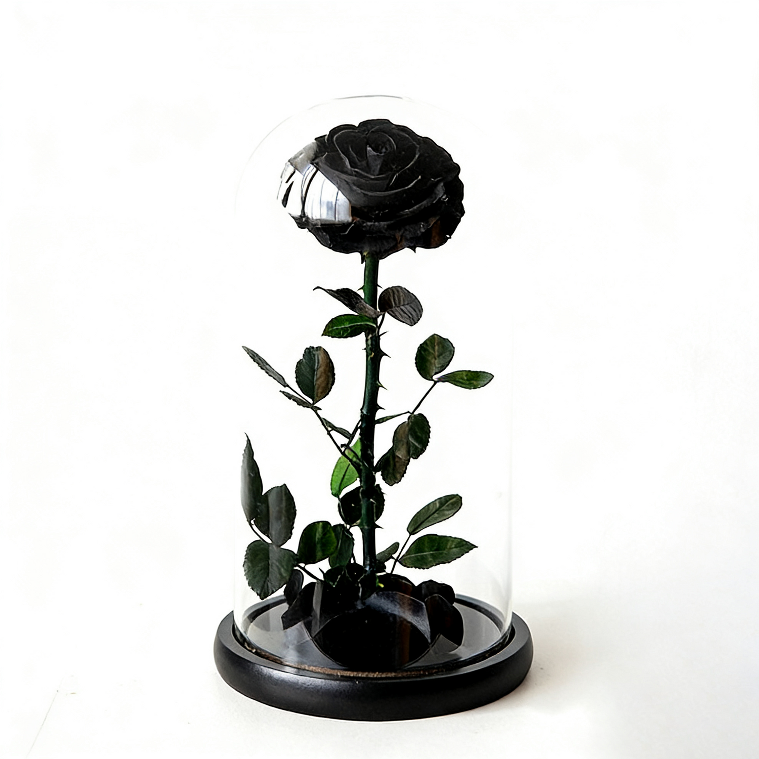 Handmade preserved flower themed glass dome by Florettely