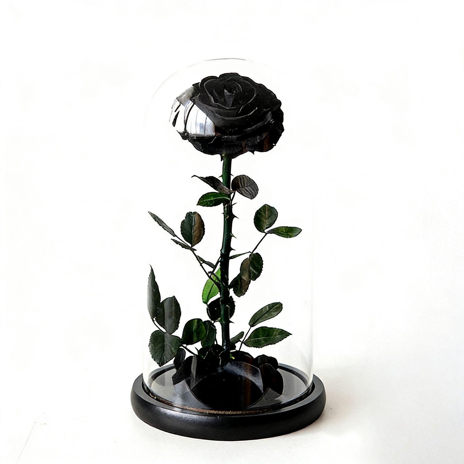 Handmade preserved flower themed glass dome by Florettely