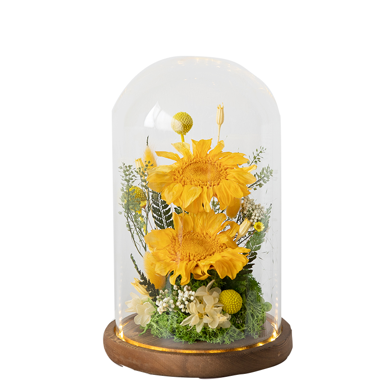 Handmade preserved flower sunflower glass dome by Florettely