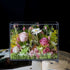 Solo Rose Acrylic Gift Box for Her - Monet Garden - Preserved Real Flower