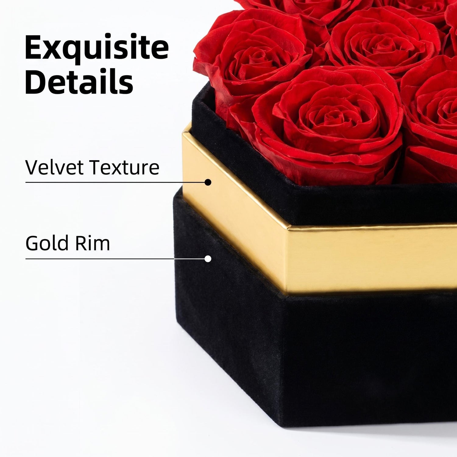 Close-up detail of preserved roses with velvet texture and gold rim gift box